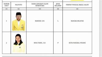 Daftar Caleg Dprd 2024